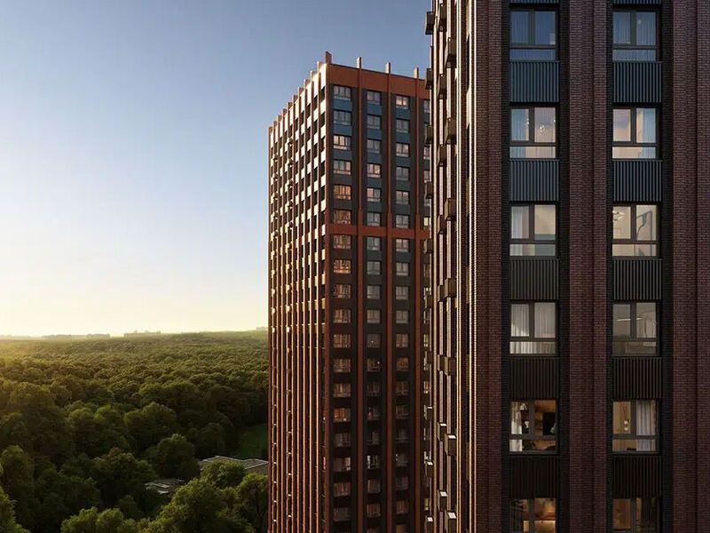 Живописные виды на Битцевский лес и Аннинский лесопарк