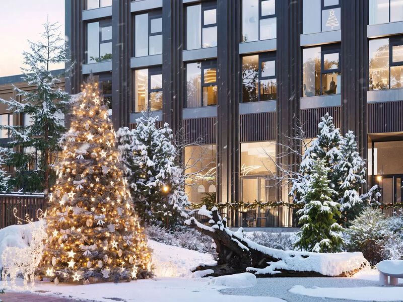 Элементы благоустройства территории